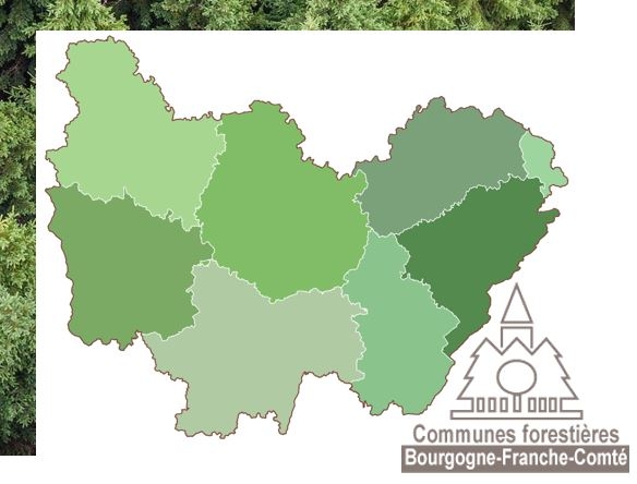 Pour être reconnues dans le débat politique, les Communes forestières ont besoin d’une adhésion massive des communes de Bourgogne-Franche-Comté