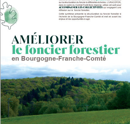 Améliorer le foncier forestier en Bourgogne-Franche-Comté