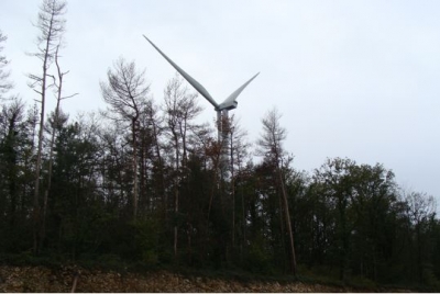 Éolien et photovoltaïque en forêt communale : les Communes forestières et l’ONF définissent leurs doctrines