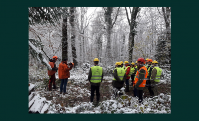 L’association des Communes forestières du Doubs investit dans la sensibilisation à la sécurité lors de la pratique de l’affouage