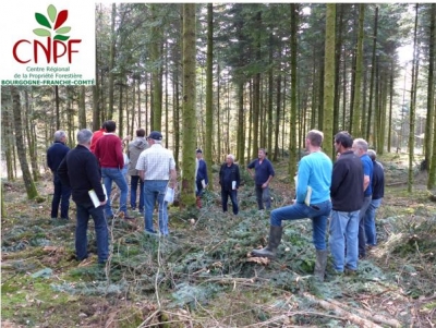 Le CRPF Bourgogne-Franche-Comté forme les propriétaires forestiers