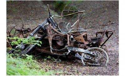 Incivilités, dégradations et menaces en forêt, FIBOIS Bourgogne-Franche-Comté ouvre la possibilité d’une déclaration en ligne