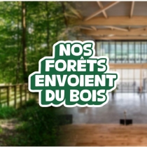 « Nos forêts envoient du bois », une campagne nationale inédite