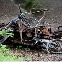 Incivilités, dégradations et menaces en forêt, FIBOIS Bourgogne-Franche-Comté ouvre la possibilité d’une déclaration en ligne