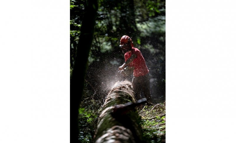 Le taux de TVA sur les travaux forestiers reste à 10%