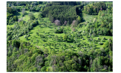 Enquête européenne sur les forêts communales