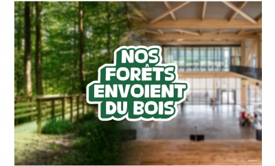 « Nos forêts envoient du bois », une campagne nationale inédite