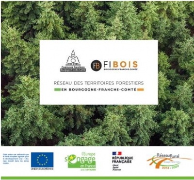 Installation d’un réseau des territoires forestiers du Jura