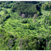 Enquête européenne sur les forêts communales