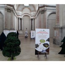 Inaugurations de l’exposition itinérante « Les forêts publiques de Bourgogne-Franche-Comté face aux changements climatiques ».