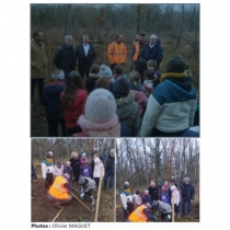 Communes forestières Yonne noue un partenariat pour reboiser des forêts communales