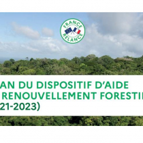 France Relance : le ministère de l’agriculture et de la souveraineté alimentaire publie le bilan de la mise en œuvre de volet forestier. 