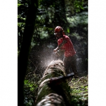 Le taux de TVA sur les travaux forestiers reste à 10%