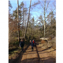 Communes forestières France lance une enquête sur les risques en forêt